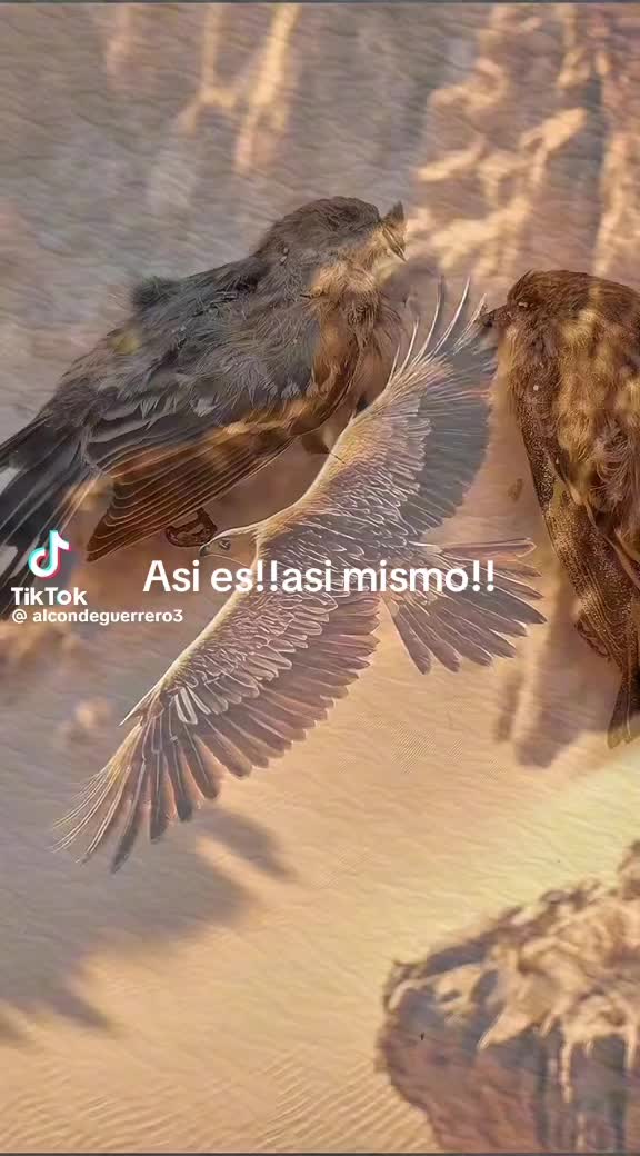 @Ricky