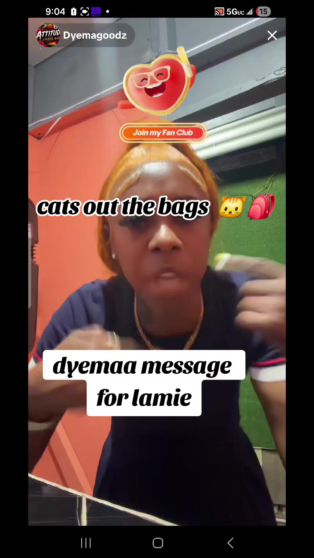 @cats out  the bags 🐱🐱🐱🐱🐱