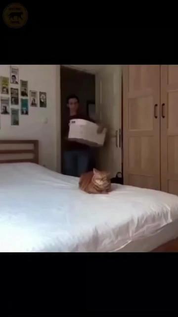 @Carlos