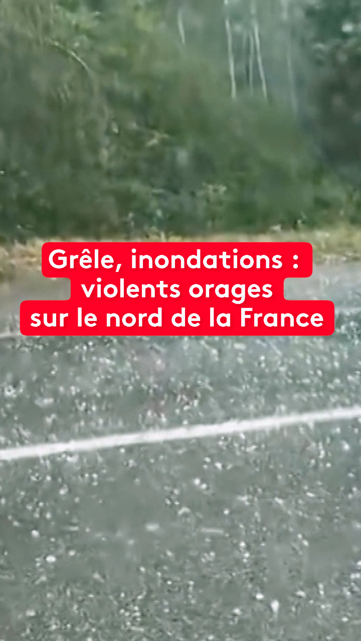 @le20hfrancetelevisions
