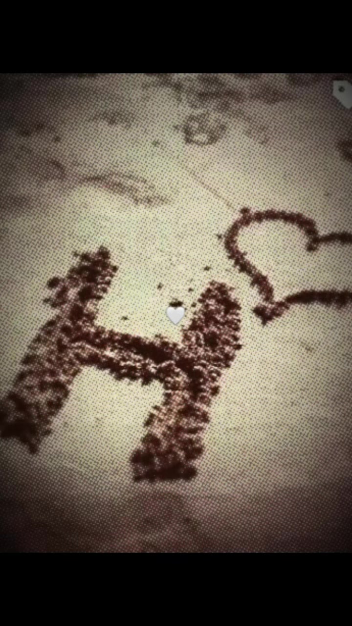 @꧁🕊️⃝ 𝐇🕊️⃝࿐