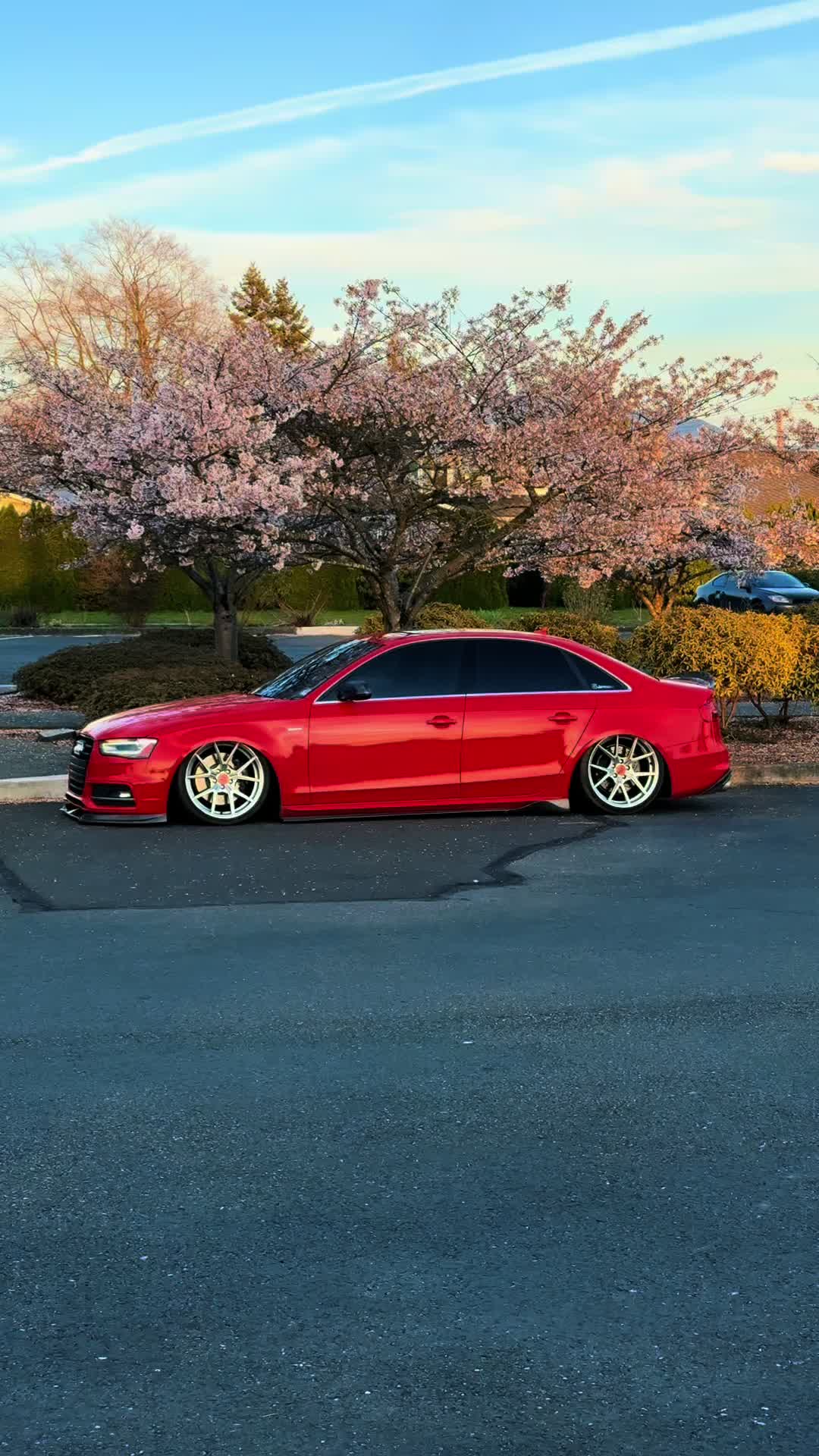 @visualsbyferny