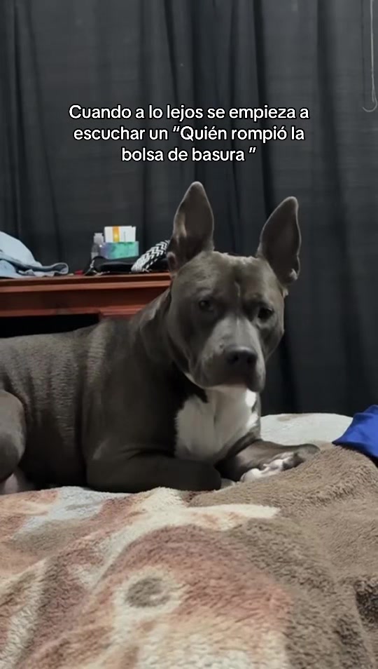 @Giulietta