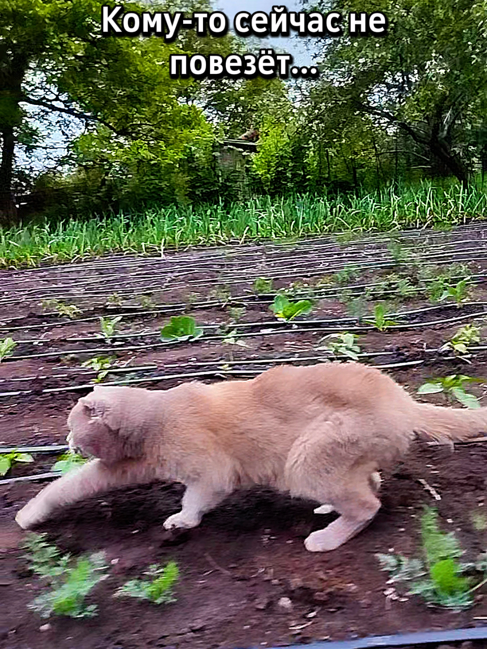 @🐈Масик&Андрей🥰