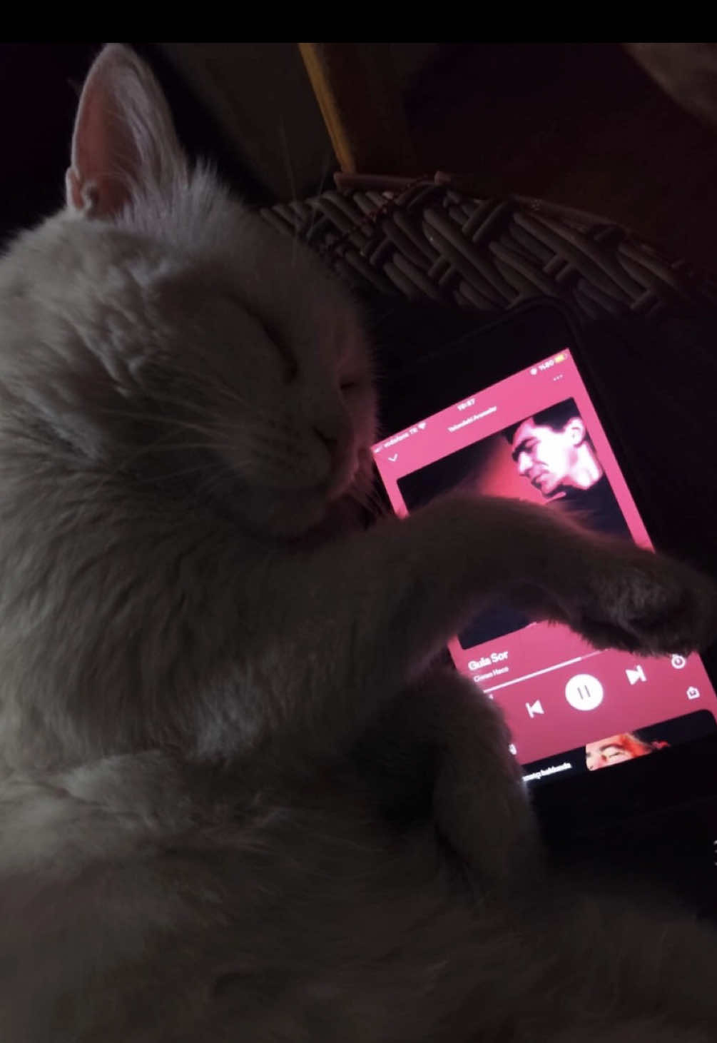 @𝗔𝗠𝗔𝗥𝗔&lsquo;🎀
