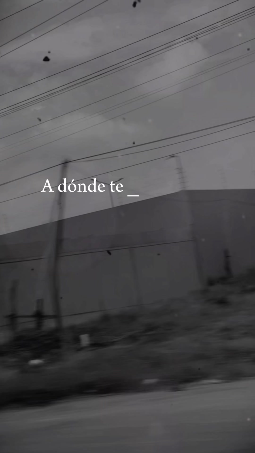 @Zoila Rosa