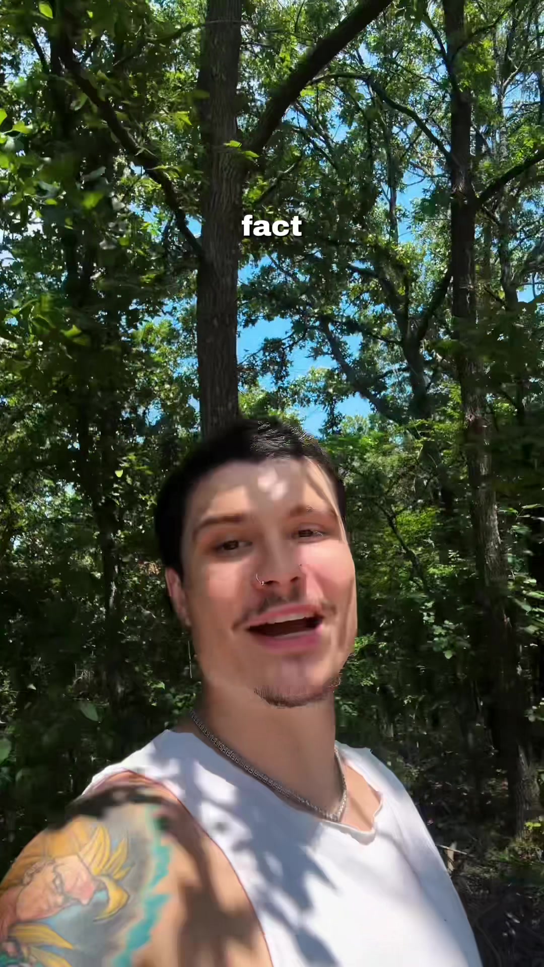 @Zayfoh