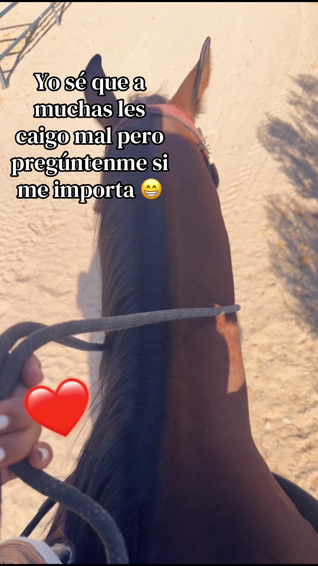 @Chaparrita ♥️🐴