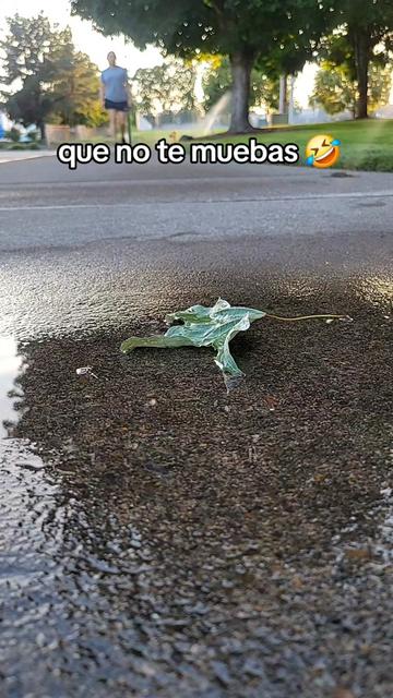 @✨️🌷Ďaľaƴ ✨️