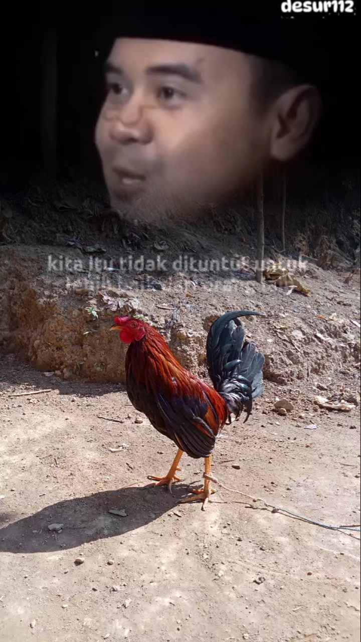 @ER Official
