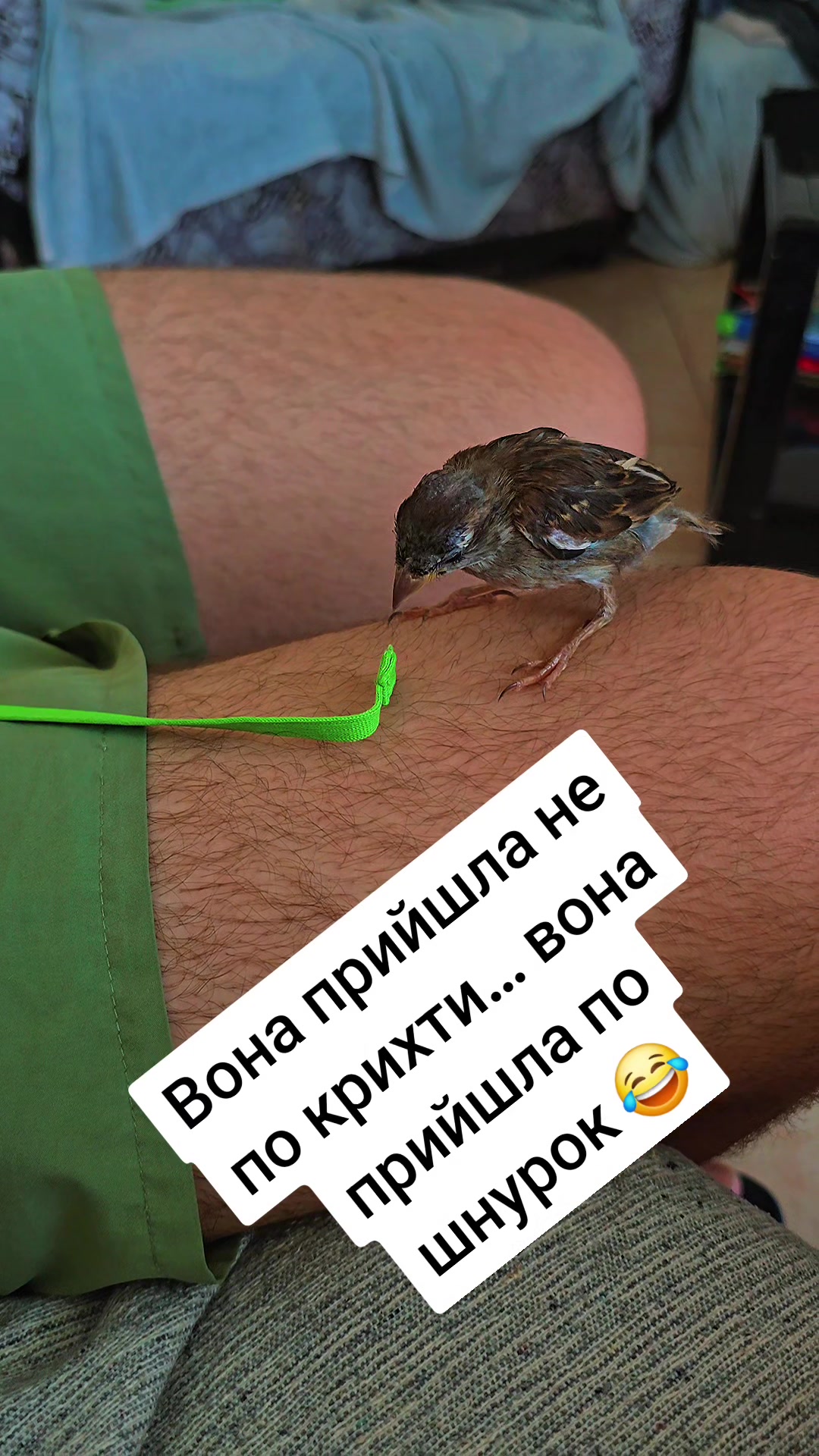 @🇺🇦🇬🇷