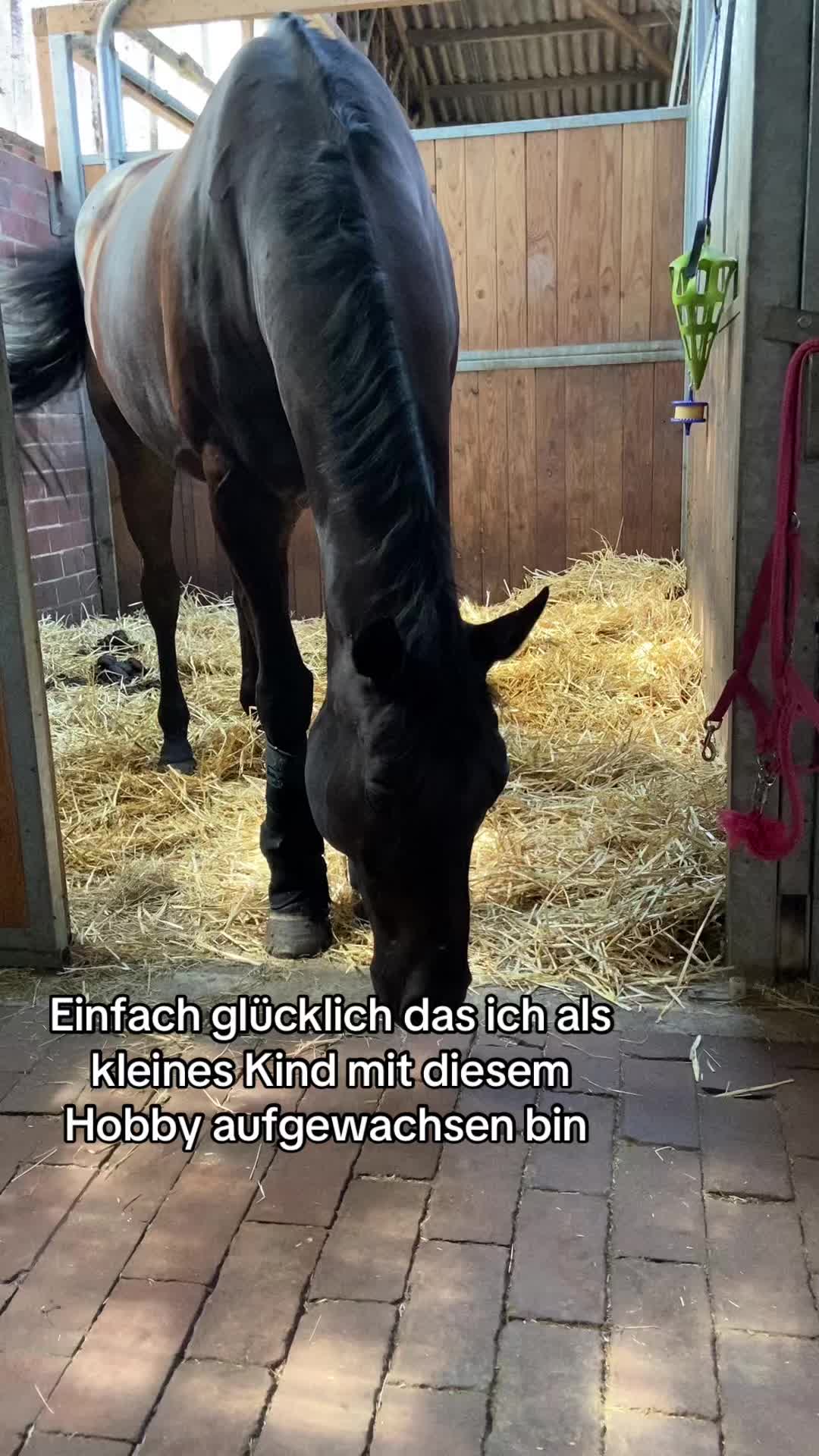 @leonie.0605