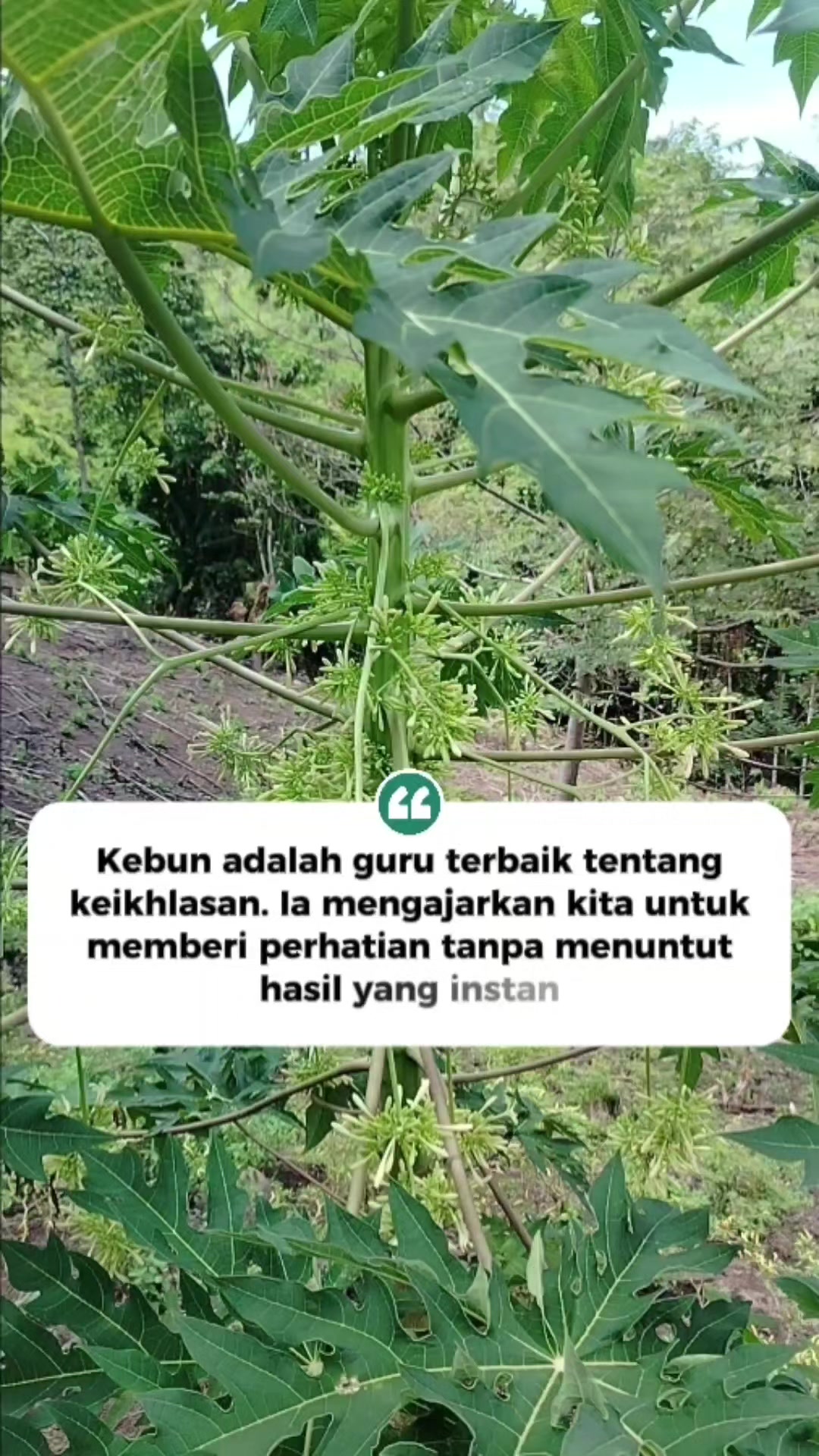 @MAMA ALMA
