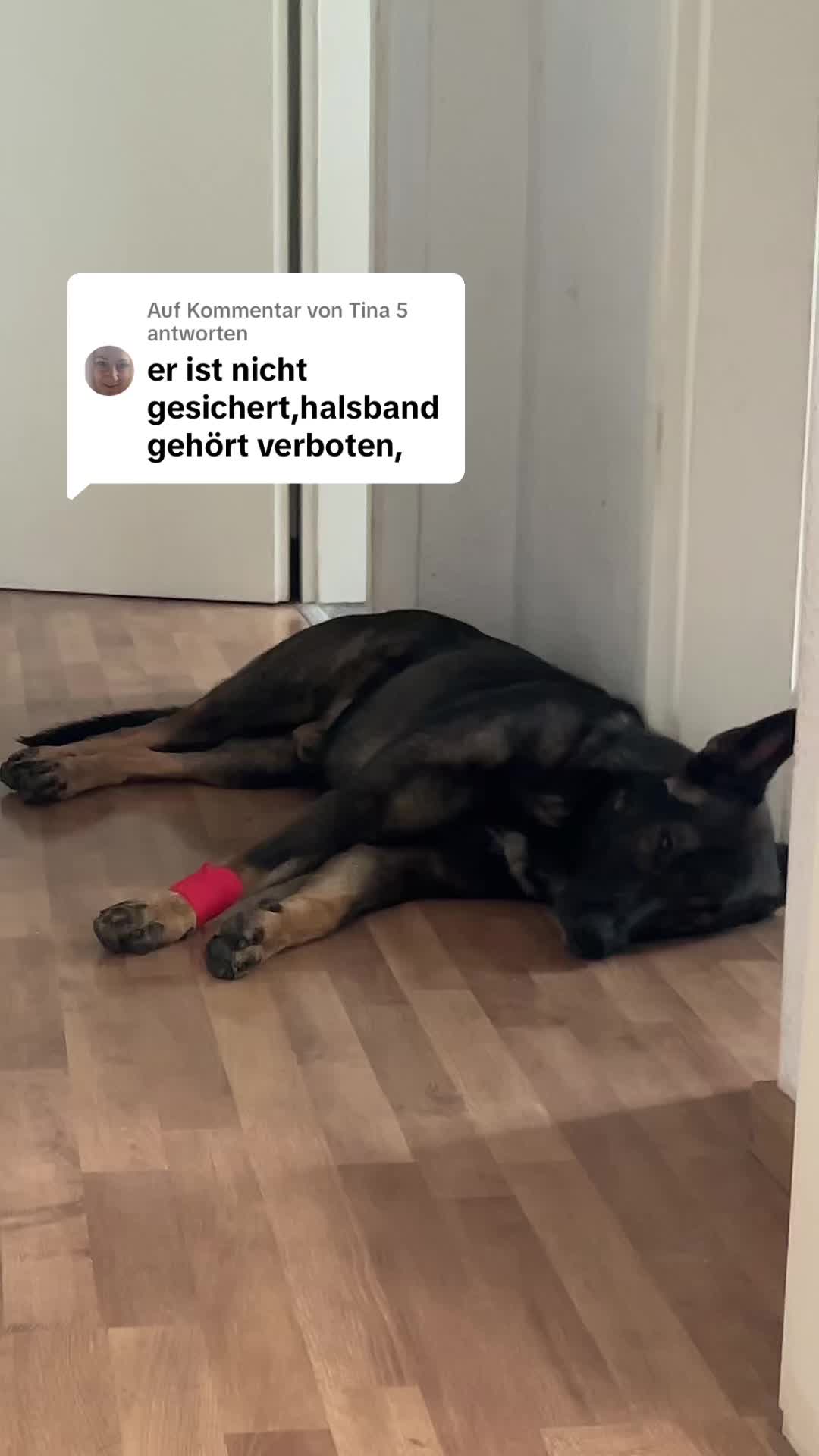 @Schotterprinzessin