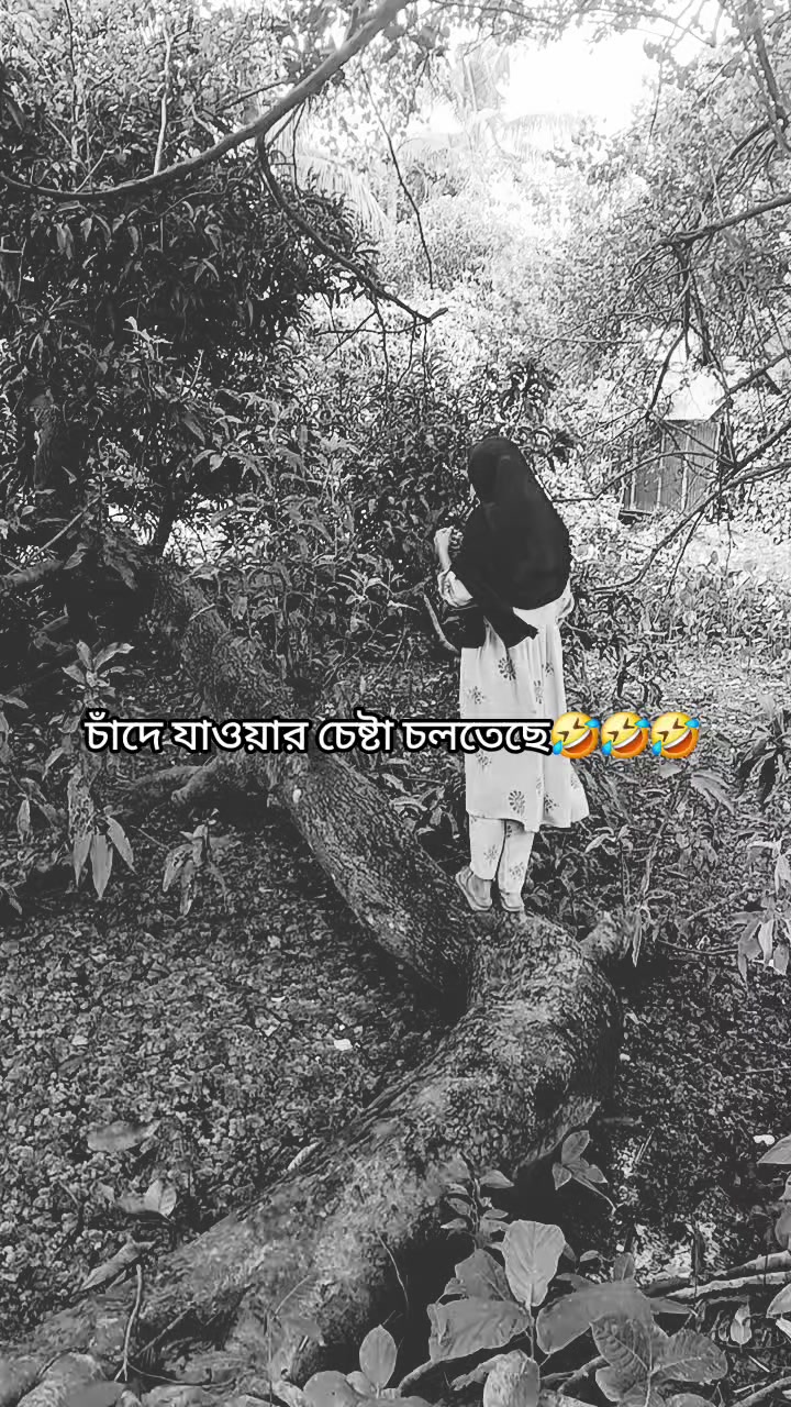 @Raiyana Noor