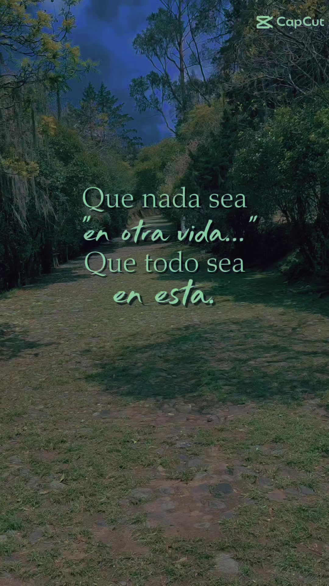 @❤️Luz de Luna 🌙🪷.♥️🌸