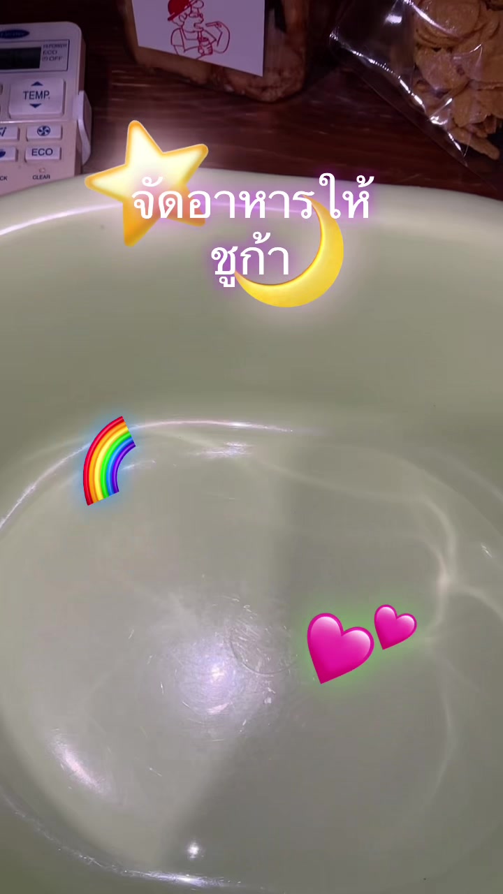 @T_Tara🍀✨