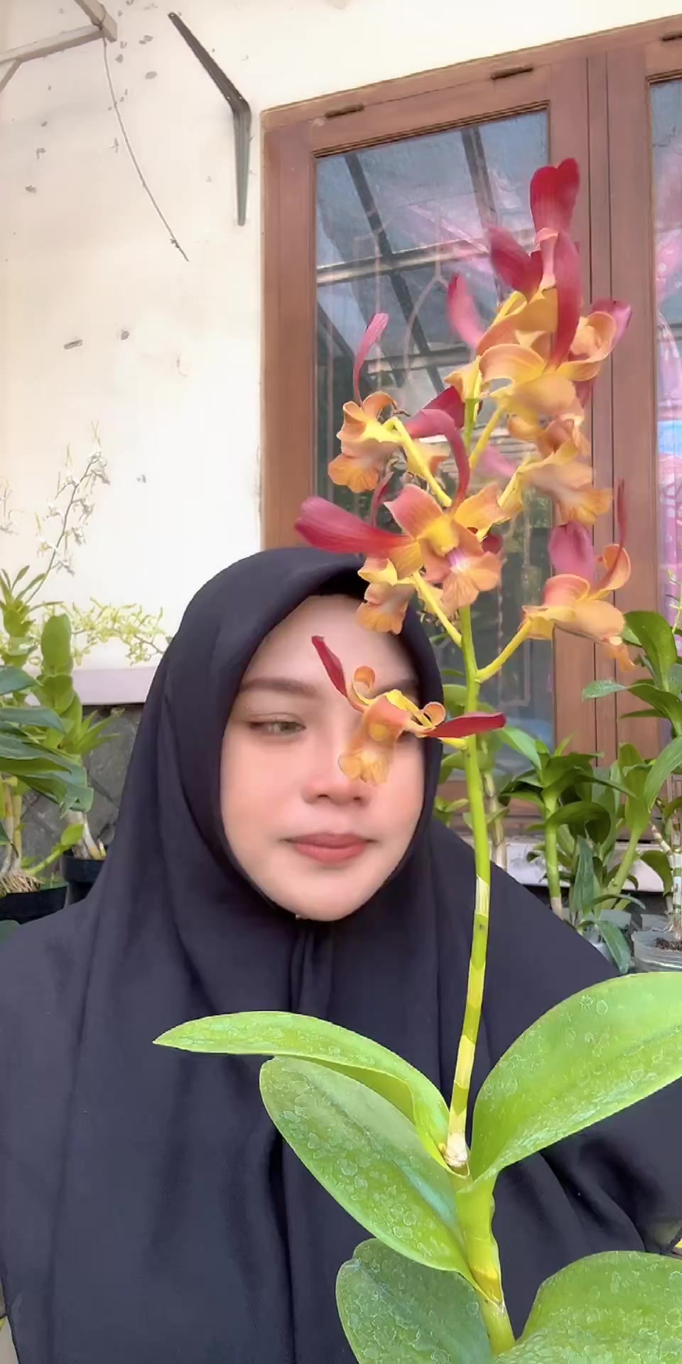 @Anggina Orchid