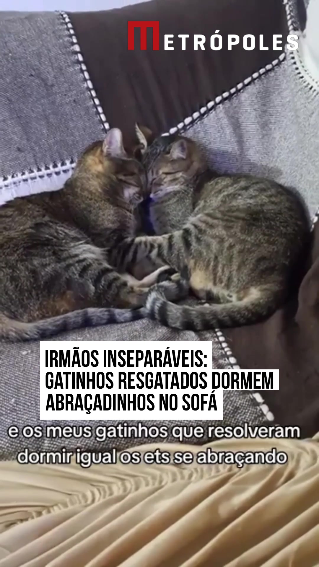 @Metr&oacute;poles Oficial