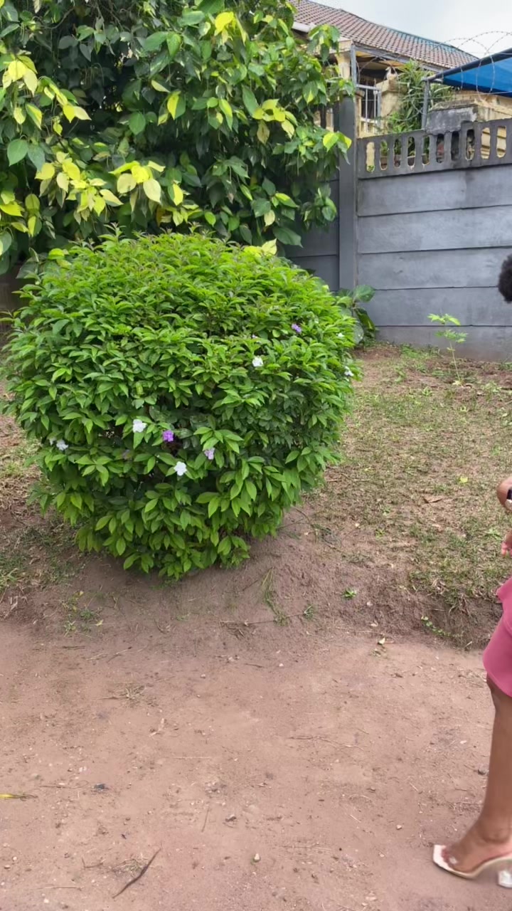@Nosipho