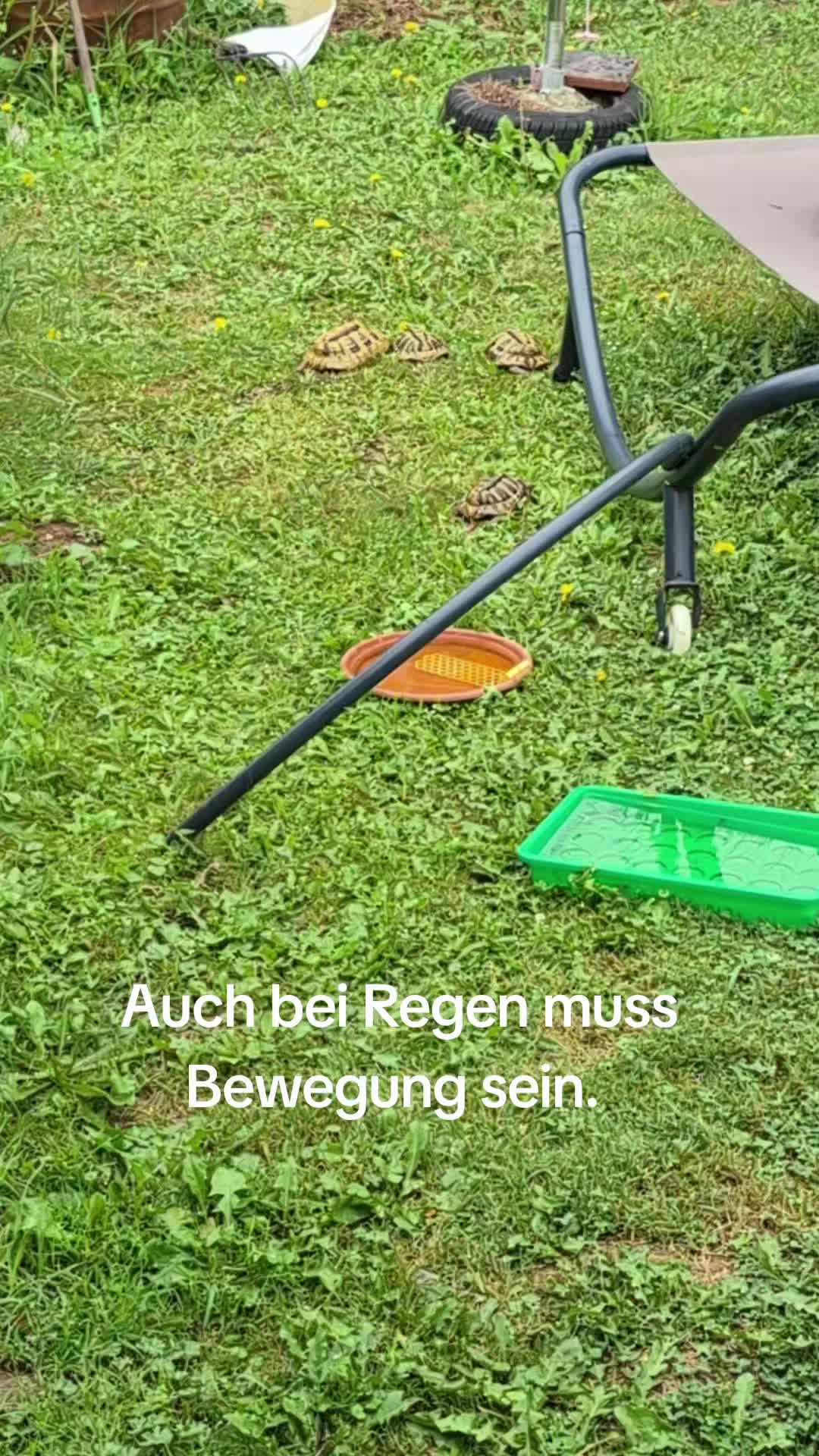 @Alexandra Neumann