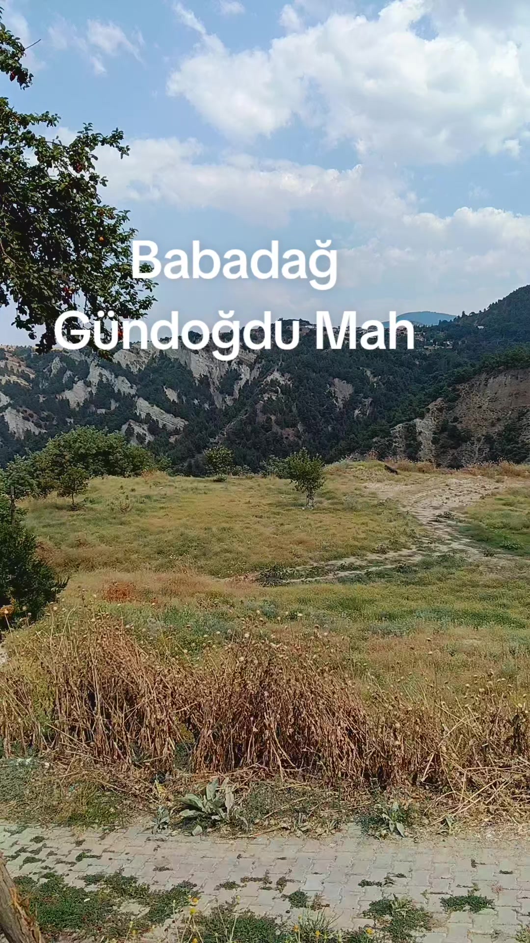 @emre3330