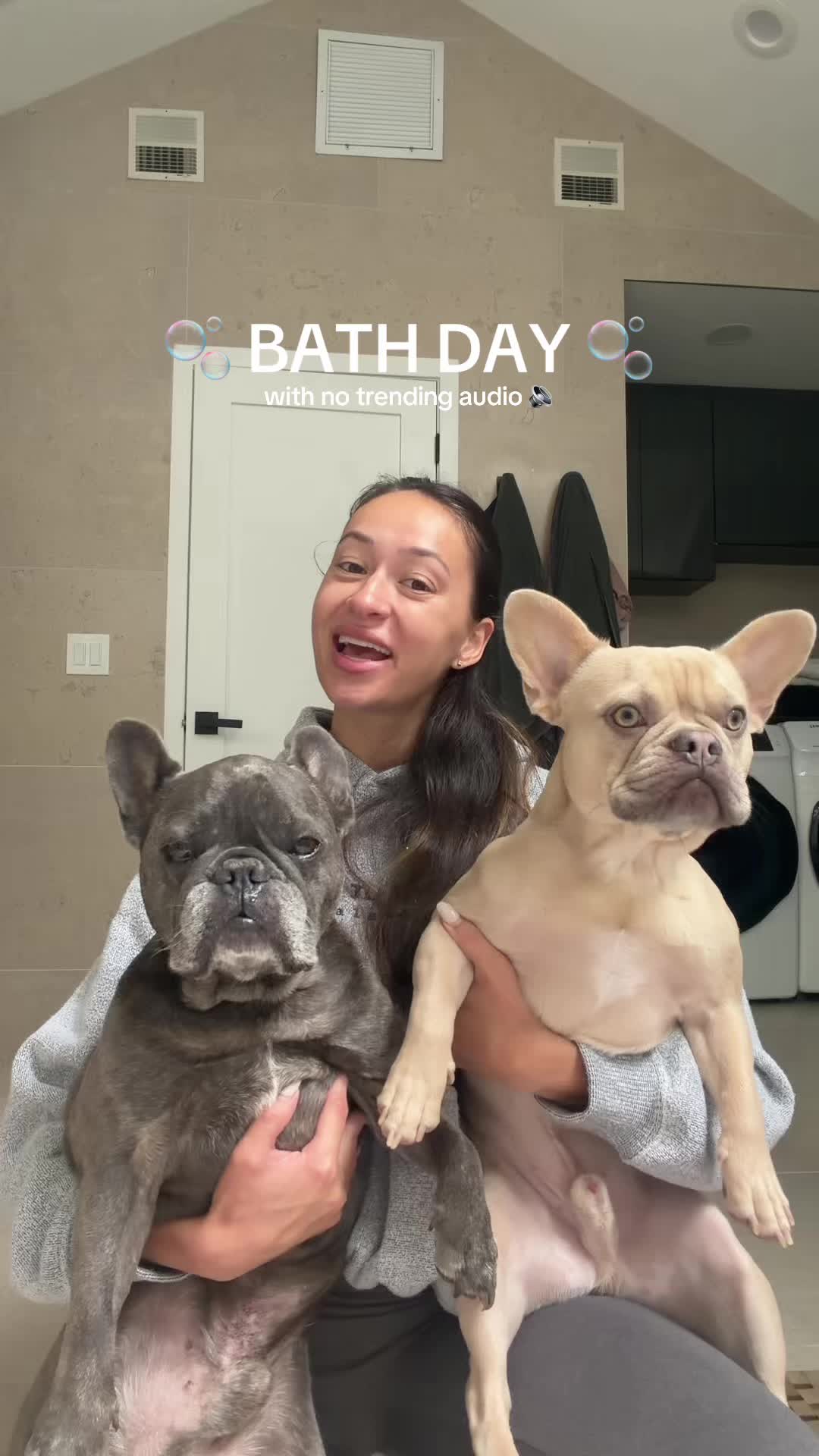 @Winston & Charlie 🐾