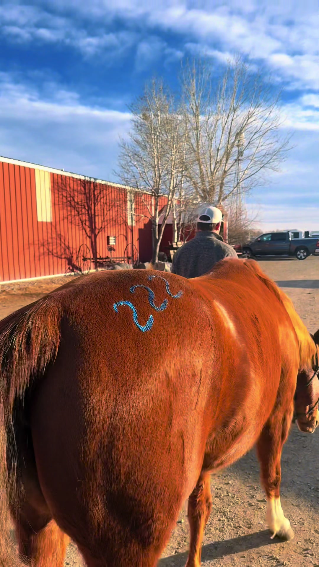 @Secret Springs Ranch