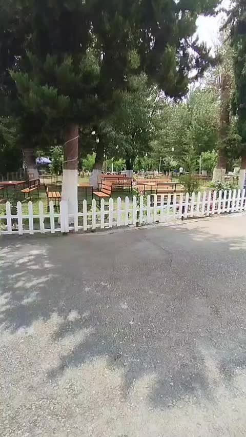 @memmedov