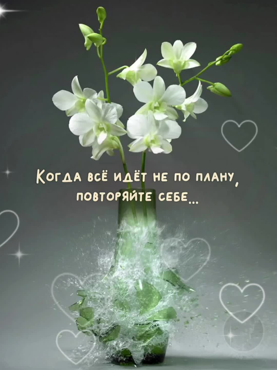 @#Цветик#