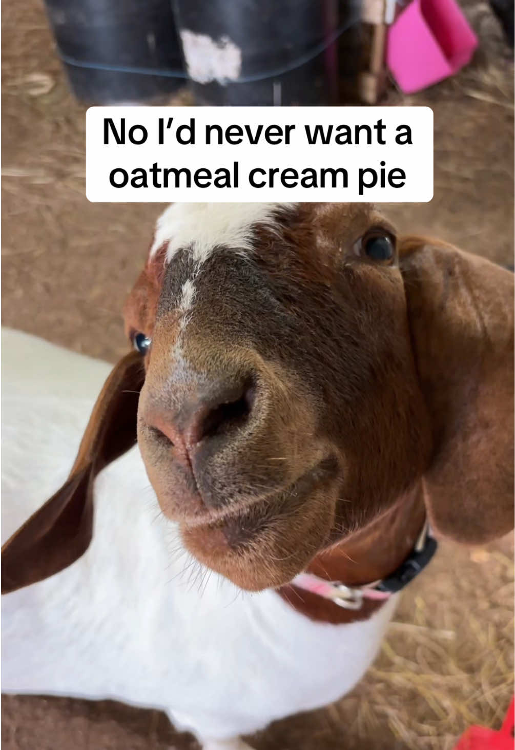 @Sarah ;)