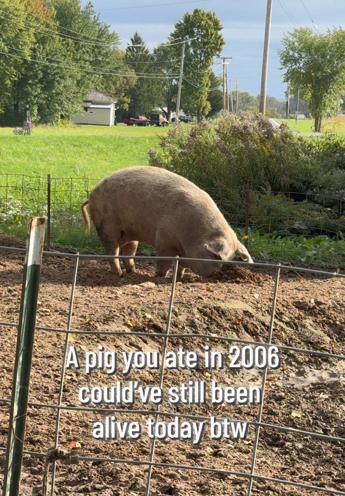 @animalrightsdaily