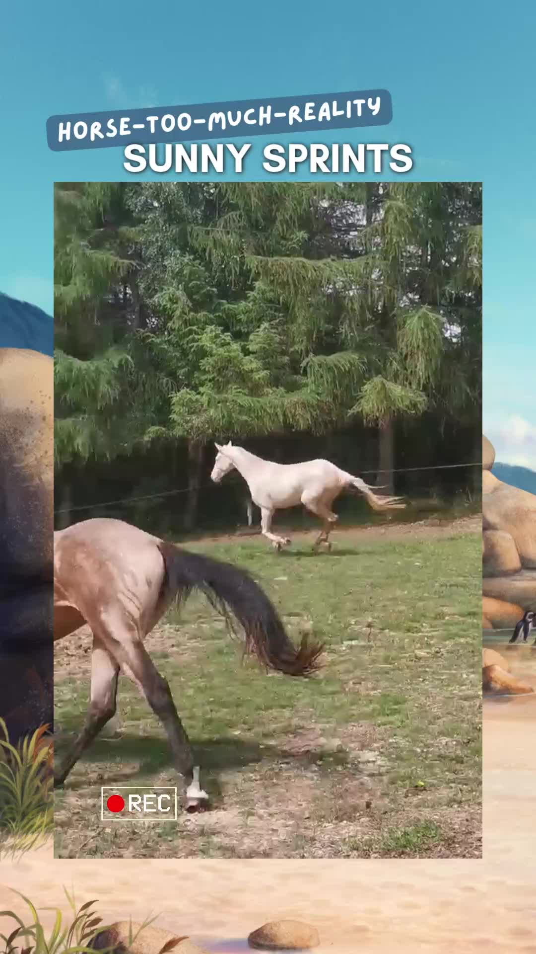 @Horse Reality