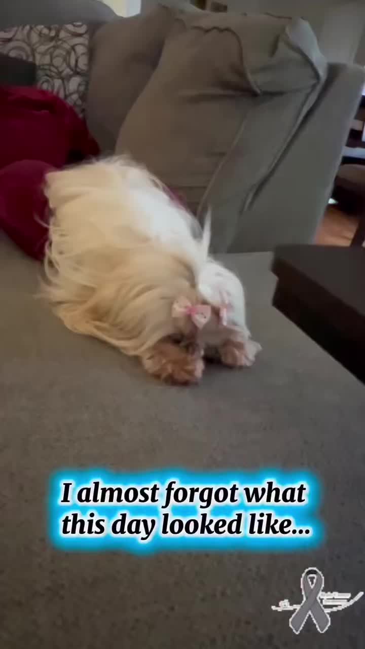 @BelDotLey