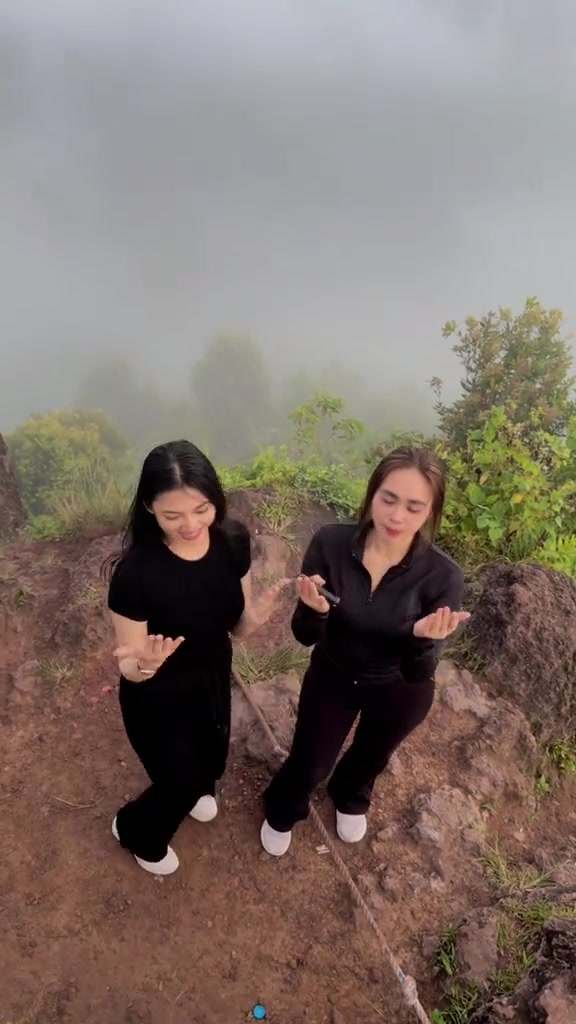 @shifaa