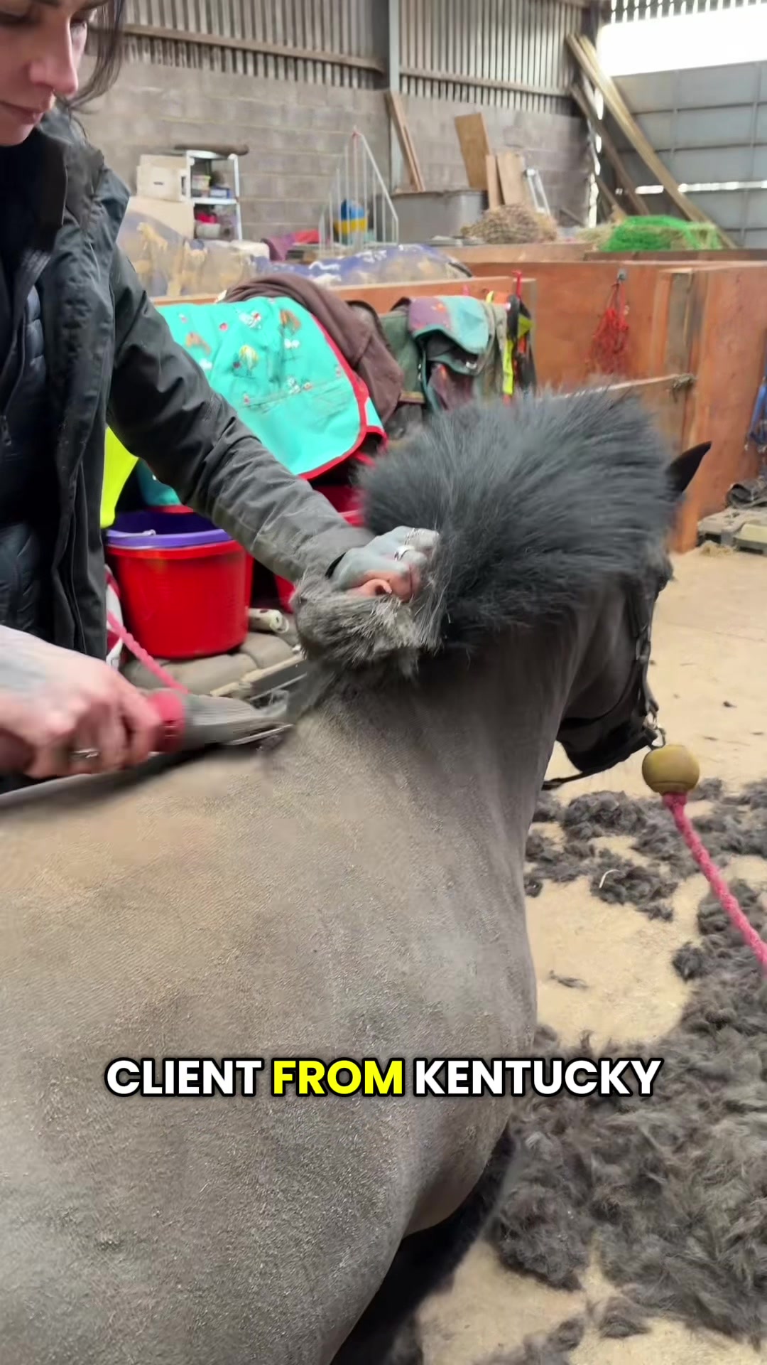 @HorseMaster