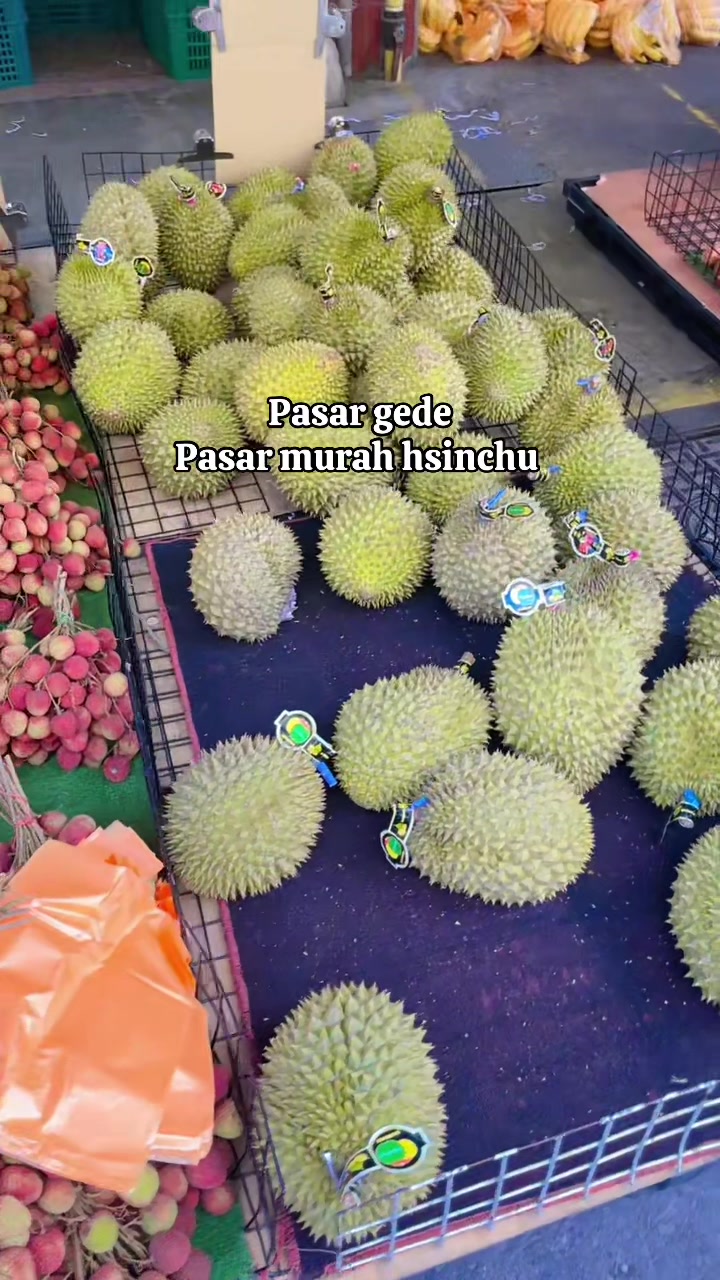 @Gadizzhsinchu
