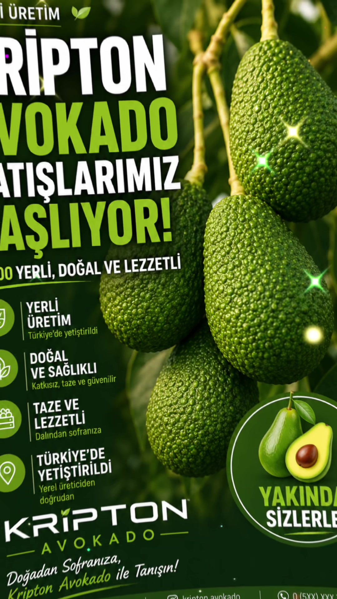 @Crayz tropikalantalya