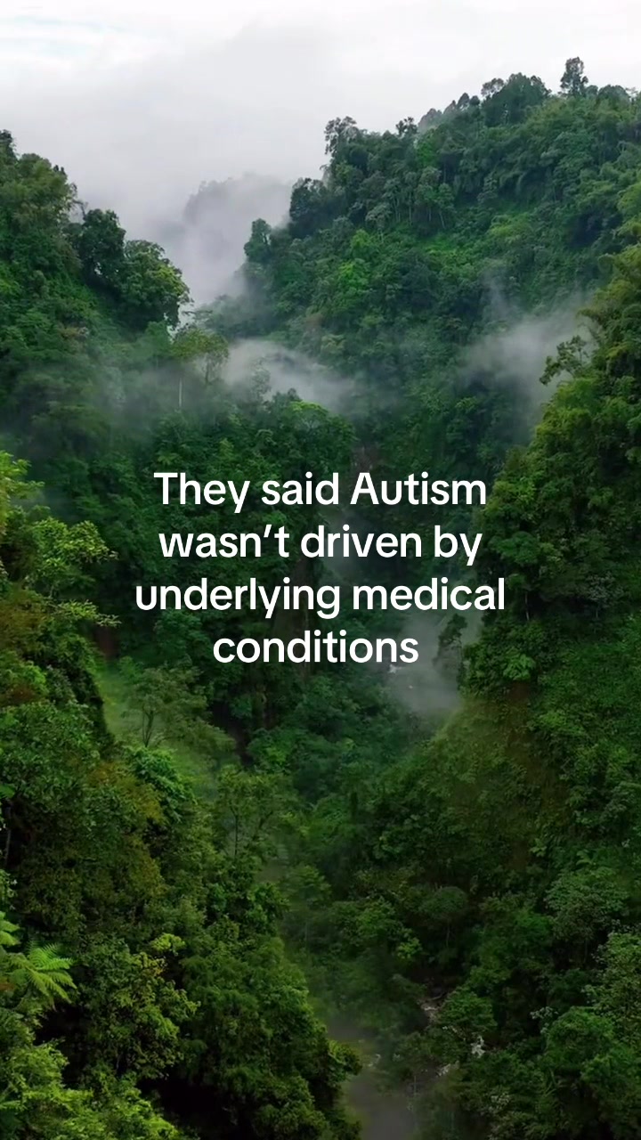 @NeuroRoot