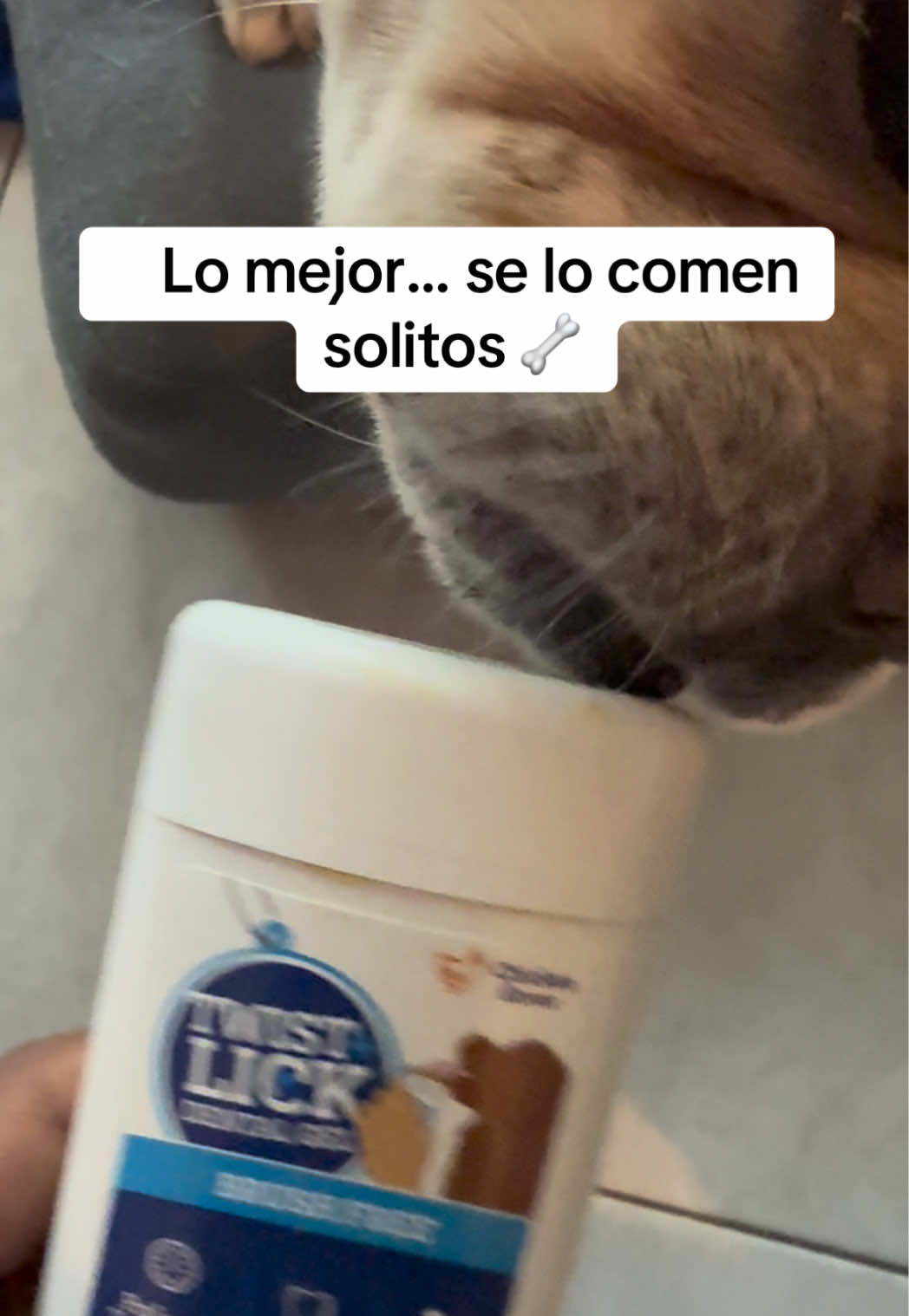 @angeltips888