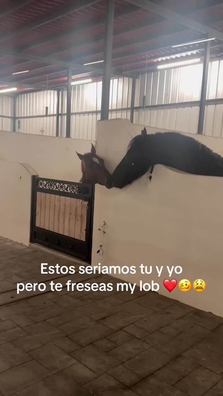 @Carmen Sandoval