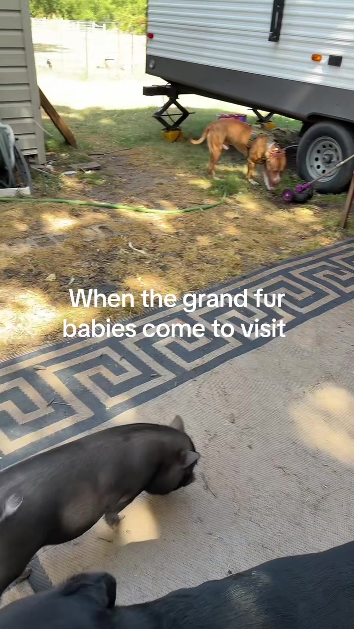 @Hiswifetheremom
