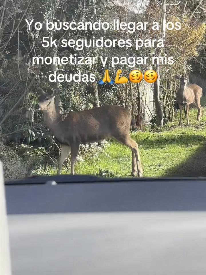 @kimberl934