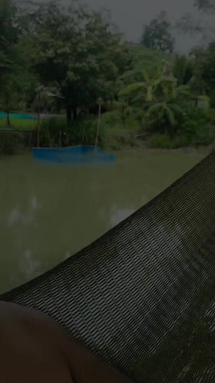 @Surasak