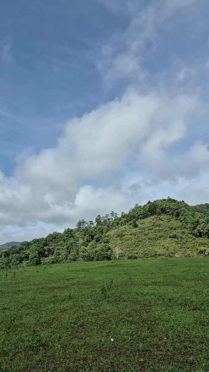 @Phanitphorn
