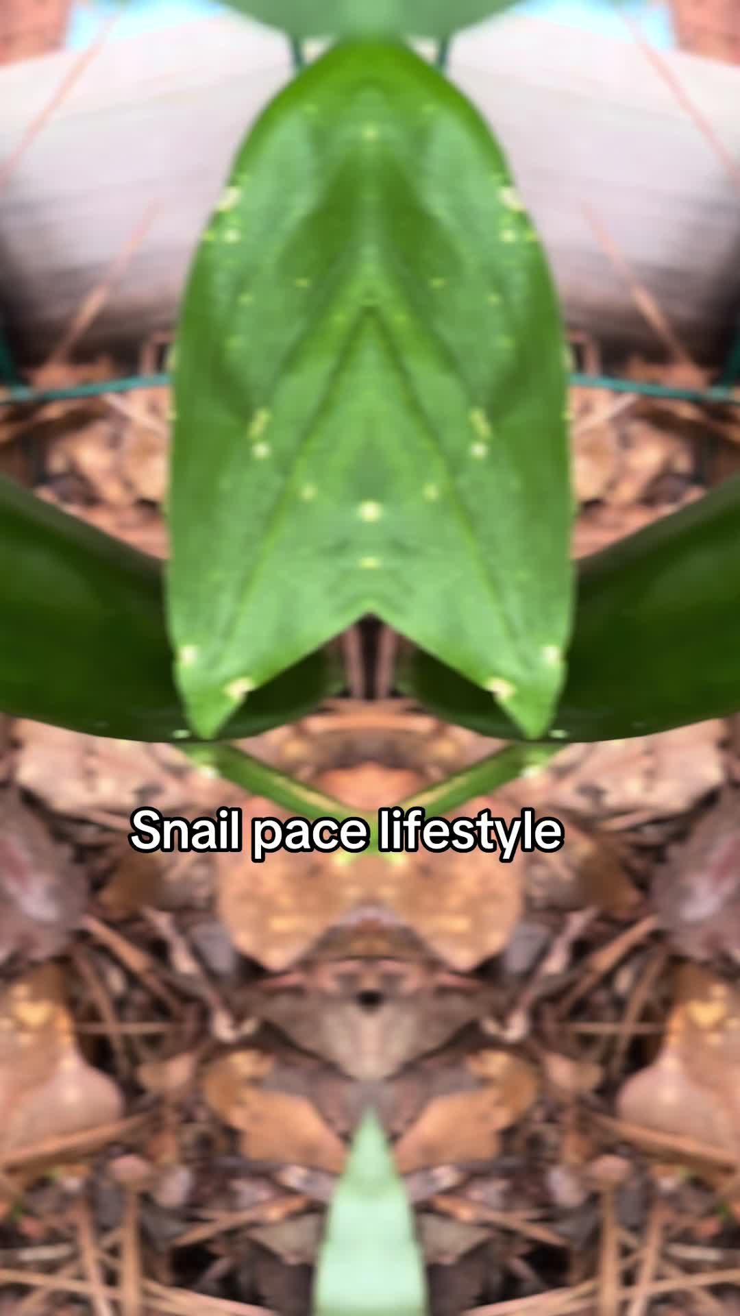 @ConsciousCrafting