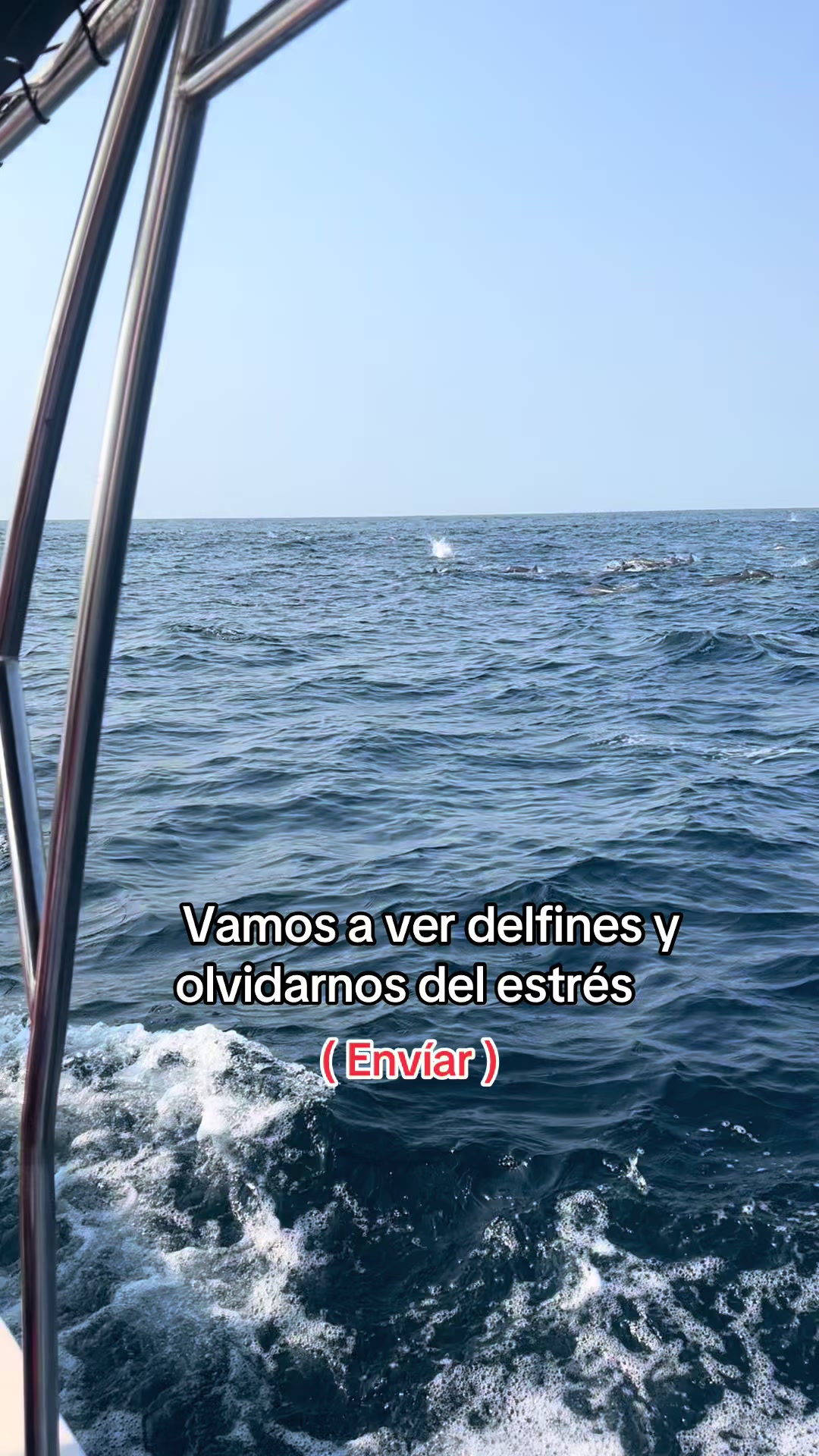 @Angel Mar 🐬🐳🎣