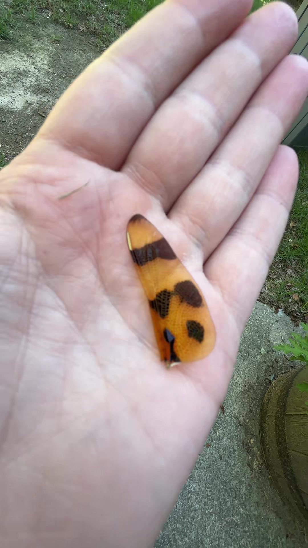 @✨Ashlie✨