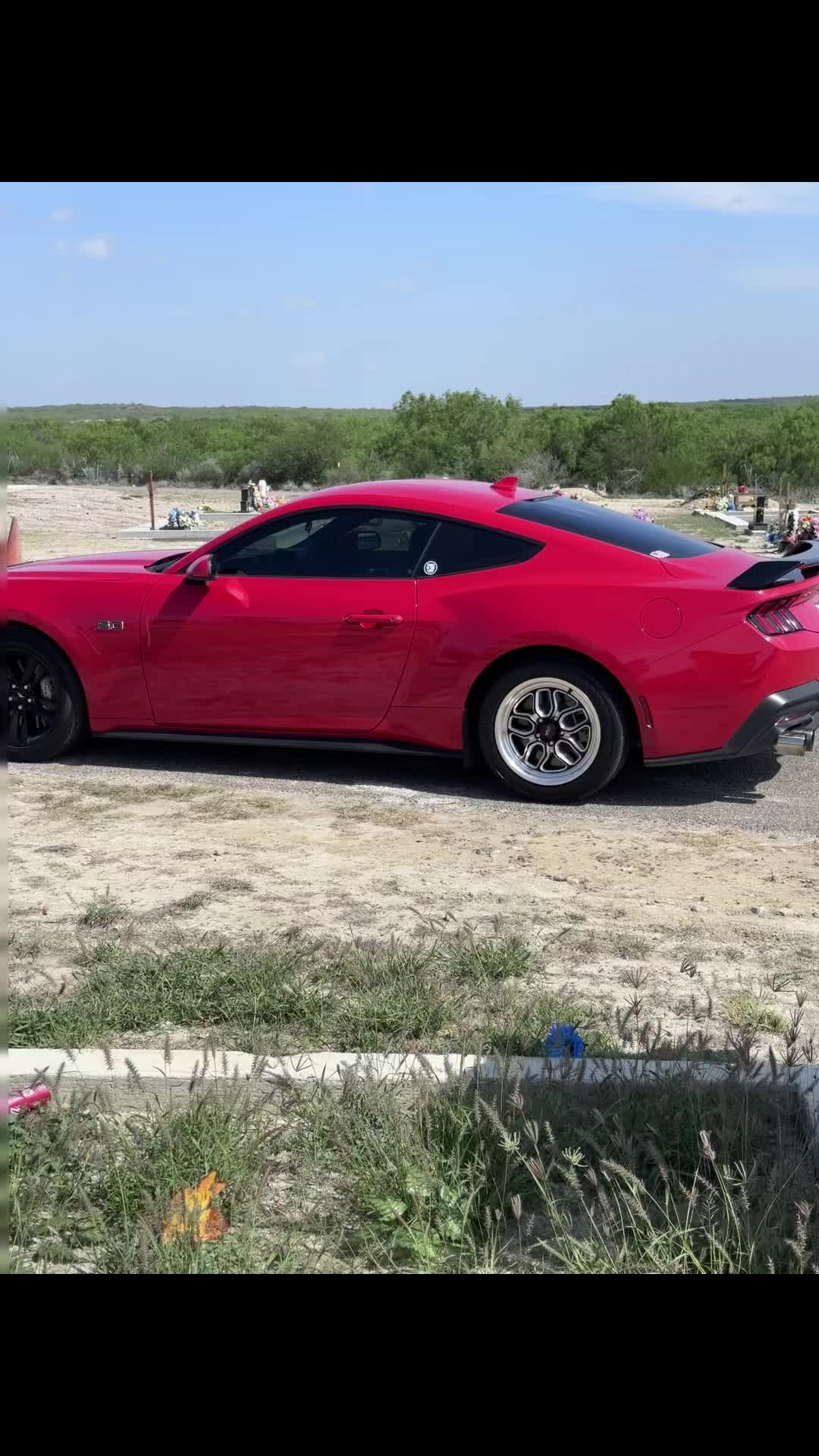 @Alex_S650🐌