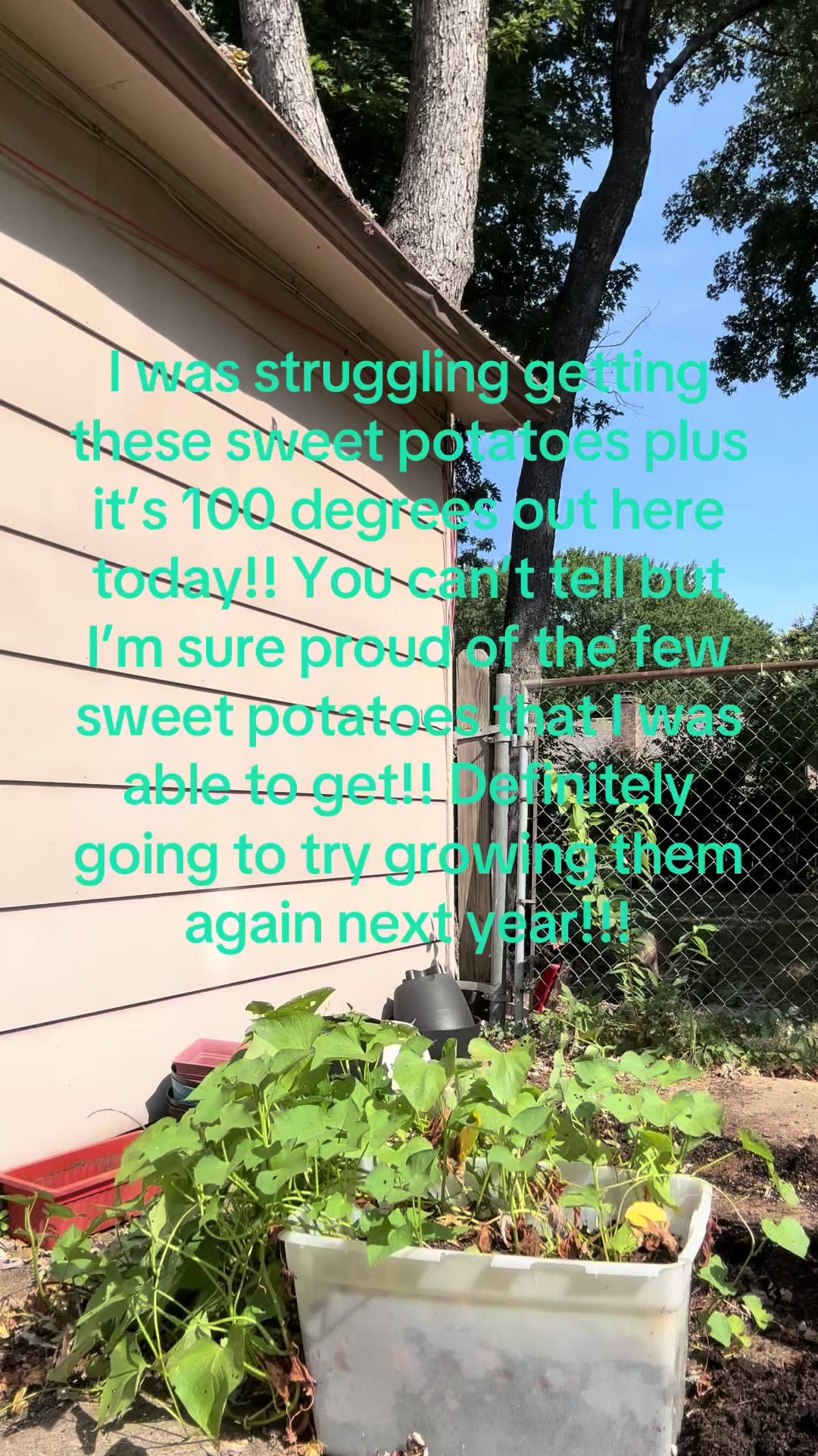 @Tami